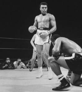 Melville Brand Design