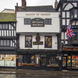 Melville Brand Design