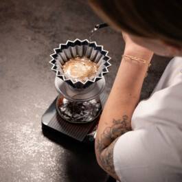 Melville Brand Design