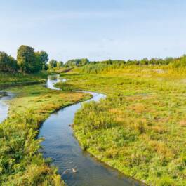 Melville Brand Design