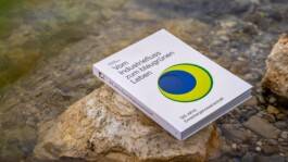 Melville Brand Design